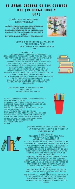 Infografia De Practica Ingrid Johanna Negrete Salas