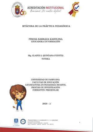Bitácora De La Práctica Pedagógica