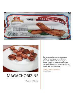 Magachorizine Revista