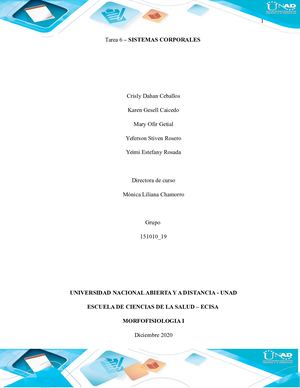 Tarea 6 Sistemas Corporales Grupo 151010 19