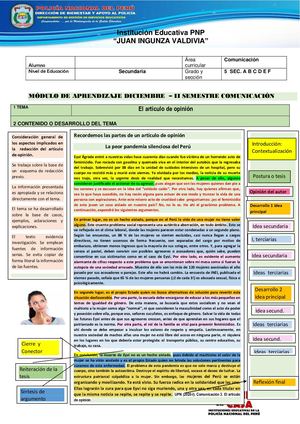 Articulo De Opinion Diciembre