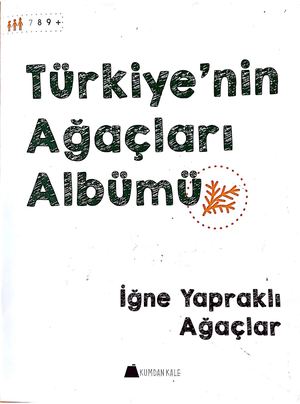 Türkiye'nin Ağaçları - İğne Yapraklı Ağaçlar
