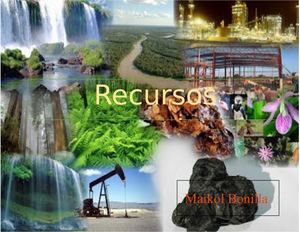 Recursos Naturales Revista De Informatica