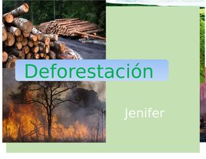 Revista De  la desforestación y sus consecuencias