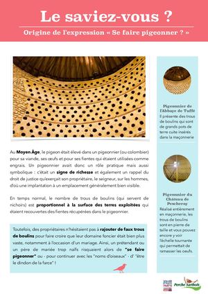 Le saviez-vous ? - Origine de l'expression "Se faire pigeonner"