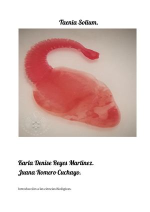 Taenia Solium