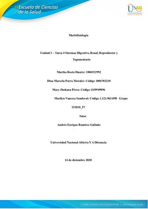 Tarea 6 Sistemas Corporales Grupo#151010 57 Pdf