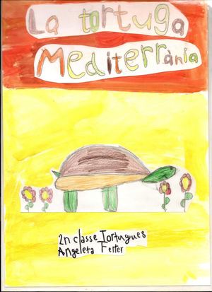 LA TORTUGA MEDITERRÀNIA