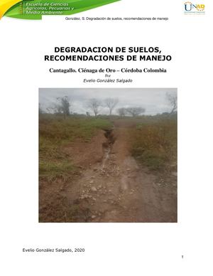 Libro Electronico Degradacion De Suelos Evelio