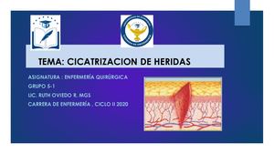 Cicatrizacion De Heridas Quirurgica