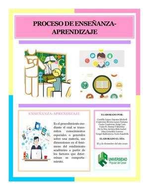 Proceso De Enseñanza Aprendizaje