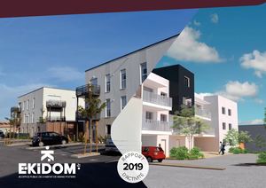 Rapport d'Activite EKIDOM 2019