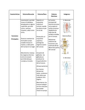 Cuadro Comparativo