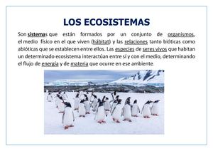 Los Ecosistemas
