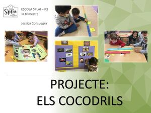 Projecte P3 - Els cocodrils