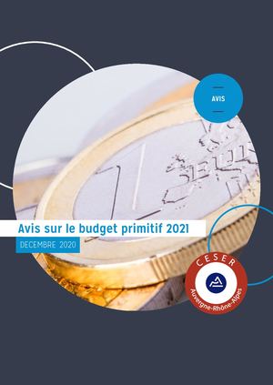 Avis sur le Budget primitif 2021