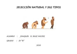 Selección Natural Y Sus Tipos