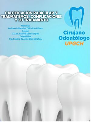 Calcificación radicular asociada a traumatismos.