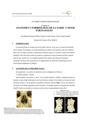 Anatomia De La Nariz
