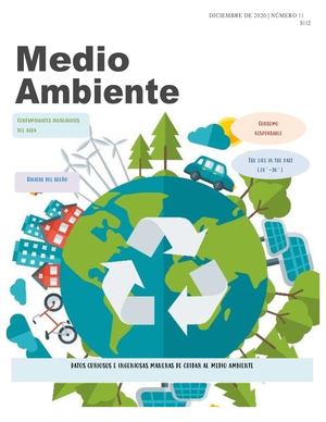Revista Digital del Medio Ambiente