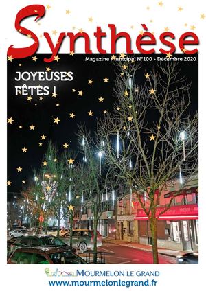 Synthèse N°100 - Décembre 2020