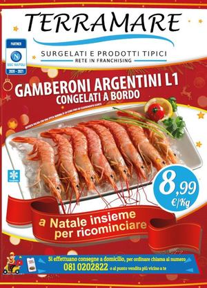 07 Volantino Natale 2020 Generico