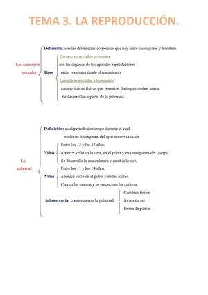 G) Esquema U 3 La Reproducción