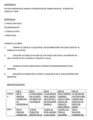 EXPERIENCIA REPRODUCCIÓN ASEXUAL VICTORIA BELLOCCHIO