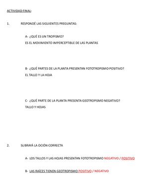 LOS MOVIMIENTOS DE LAS PLANTAS ACTIVIDADES PARA PENSAR LOLA GARCÍA