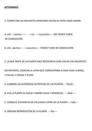 LAS PLANTAS CUADRO CONCEPTUAL IAN PESCIO