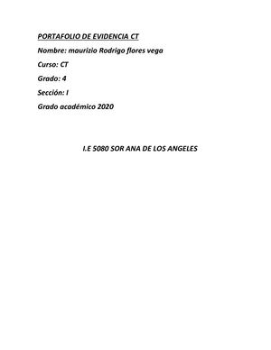 Portafolio Virtual Ct 4to Maurizio Rodrigo Flores Vega