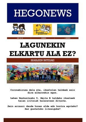 Hegonews - iritzi testua