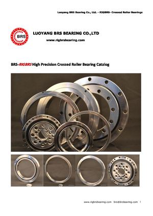 Crossed Roller Bearing Catalog Brs Bearing