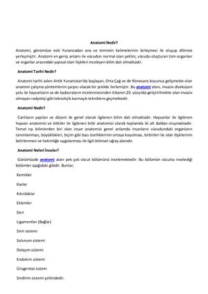 Anatomi Nedir