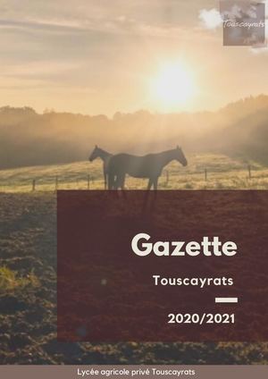 LA VIE DU LYCÉE - 1ER TRIMESTRE 2020-2021