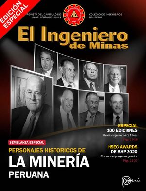 Revista 100 V2