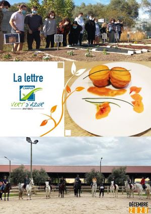 Lettre Vert d'Azur - Décembre 2020