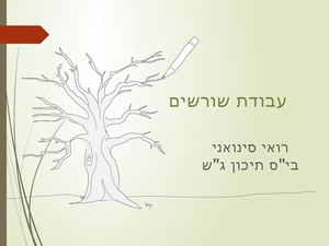 מצגת שורשים רואי סינואני2