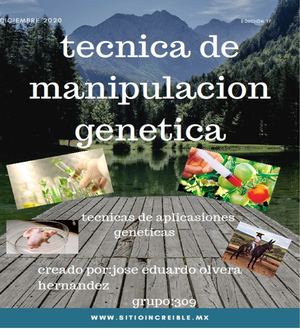 Revista Tecnica De Manipulacion Genetica