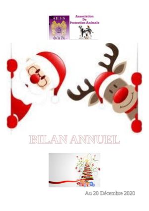 Bilan 2020 Pdf
