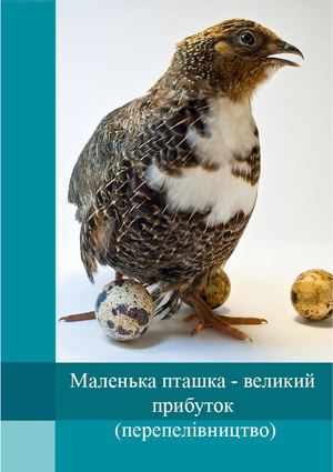 Маленька пташка – великий прибуток (перепелівництво)