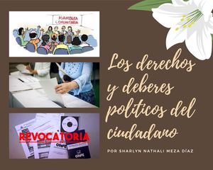 ÁLbum De Los Derechos Y Deberes Políticos