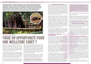 Foret Naturalité Scolyte -ONF