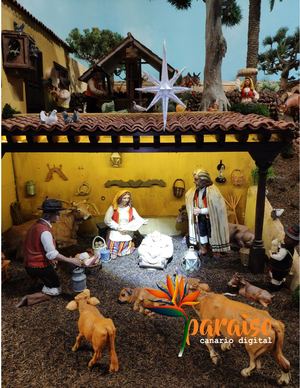 Paraiso Canario Digital Edicion NAVIDAD