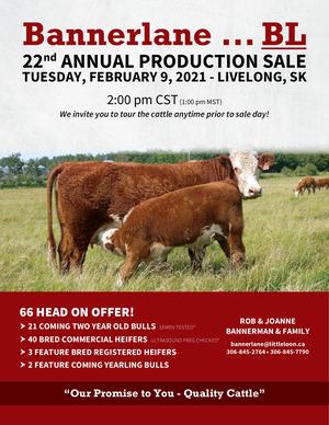 Bannerlane 2021 Sale Catalogue