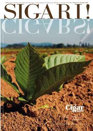 Sigari! N° 37