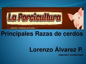 TEMA 3: Razs Porcinas