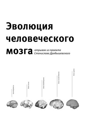 эволюция головного мозга