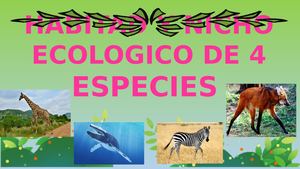 Habitad Y Nicho Ecologico De 4 Especies