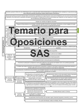 Tema 13 Movilización Y Traslado De Pacientes